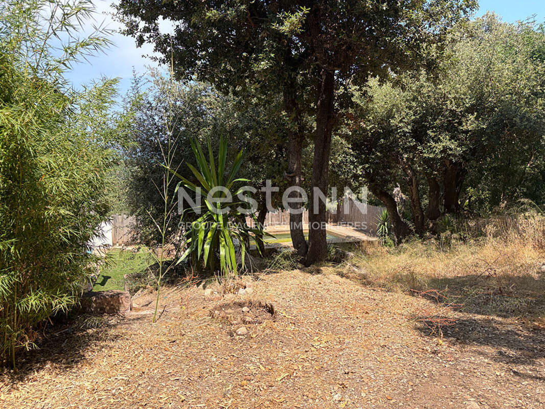 À vendre -Charmante maison avec vue mer, à quelques pas de la plage de la Testa - photo 15