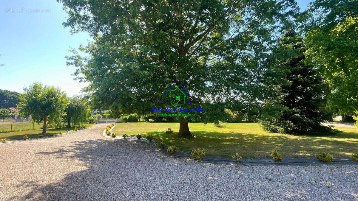 Maison 240 m² à Sainte-Livrade-Sur-Lot  - photo 3