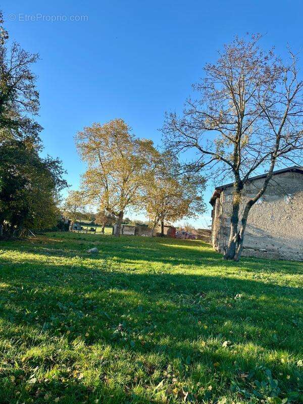  MAISON DE 120 M² AVEC JARDIN DE 385 m2  Satolas-et-Bonce (38290) - photo 6