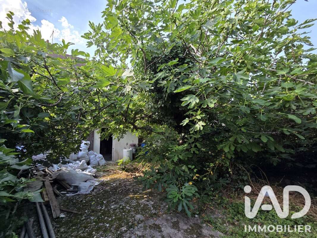 Photo 6 - Appartement à CARRIERES-SUR-SEINE