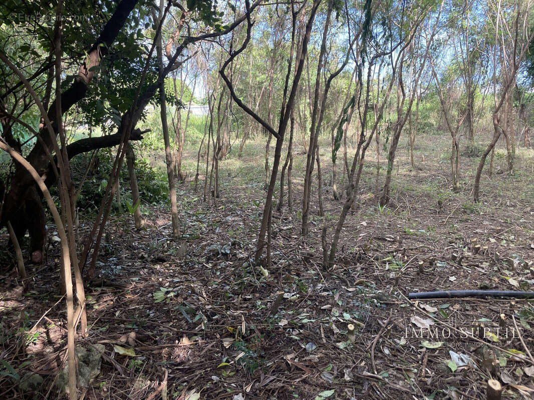 Terrain à SAINT-FRANCOIS