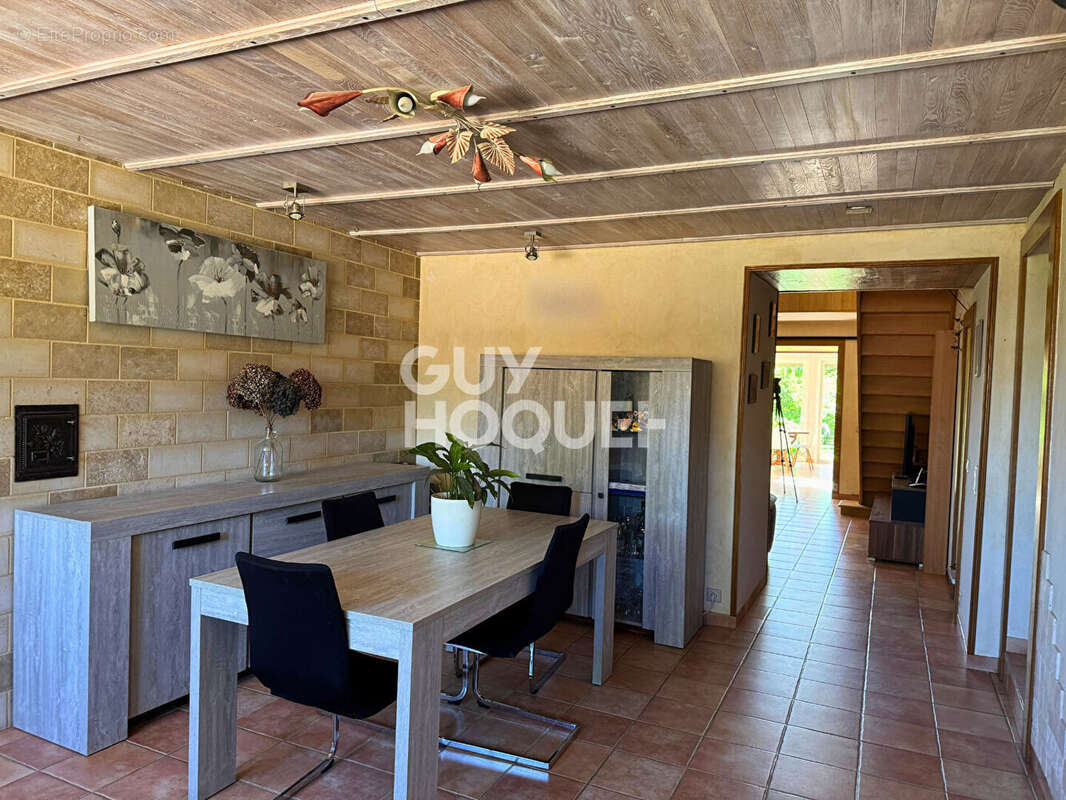 Maison et gite Oussieres 9 chambres - photo 9
