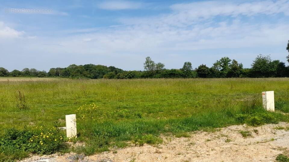 Terrain à MANERBE