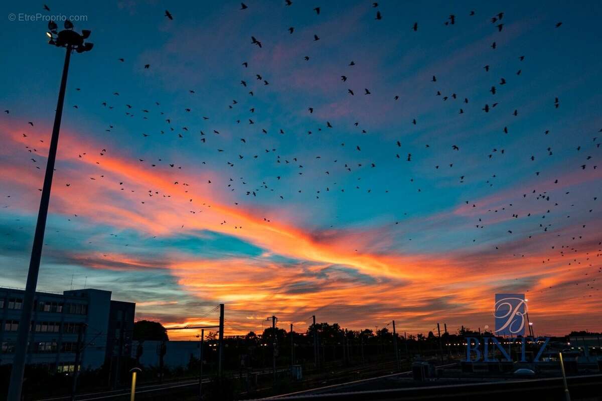 Vue de nuit - depuis séjour - Appartement à STRASBOURG