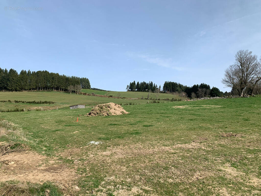Terrain à SAINT-ROMAIN-LACHALM