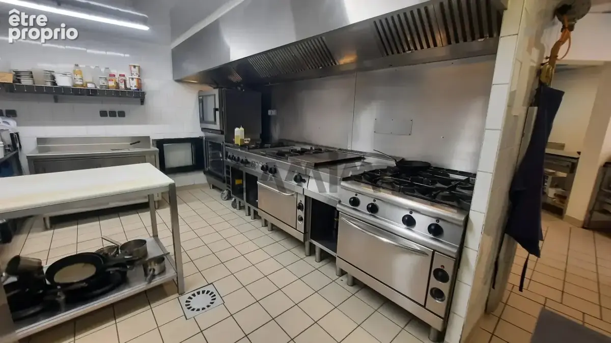 A vendre - cévennes meridionnales - propriété exceptionnelle - photo 15