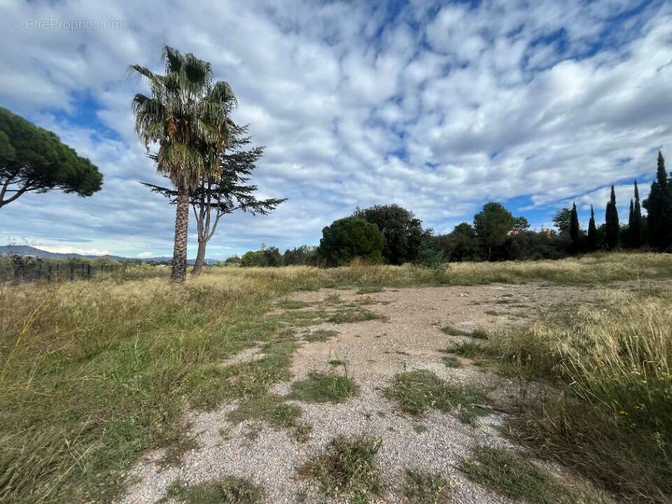Terrain à CASTELNOU