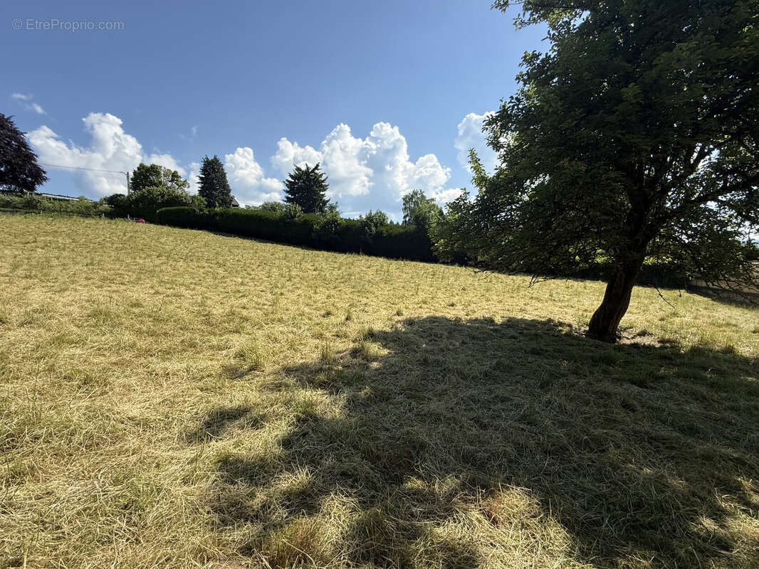 Terrain à CELLES-SUR-DUROLLE
