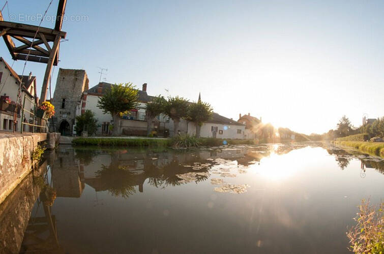 Terrain à MENNETOU-SUR-CHER