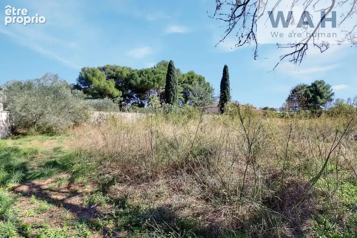 Vente terrain a batir 433m2 34230 neffies - photo 2