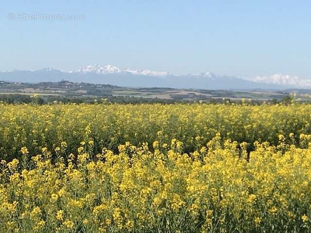 Maison à CARCASSONNE