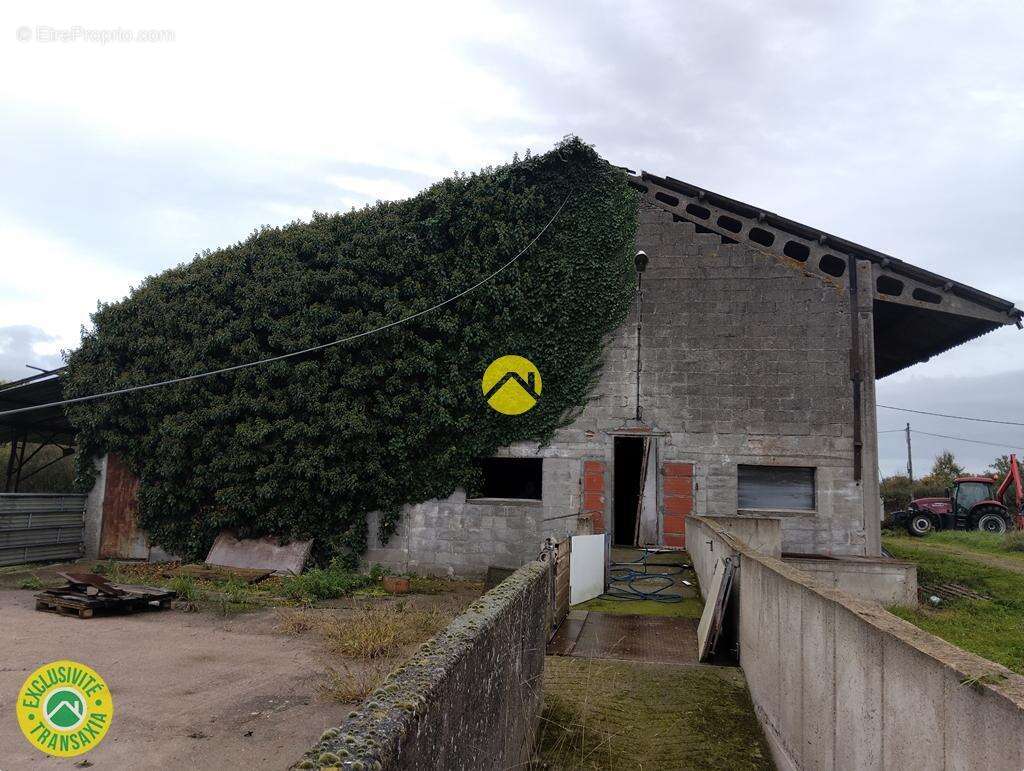 Commerce à LURCY-LEVIS