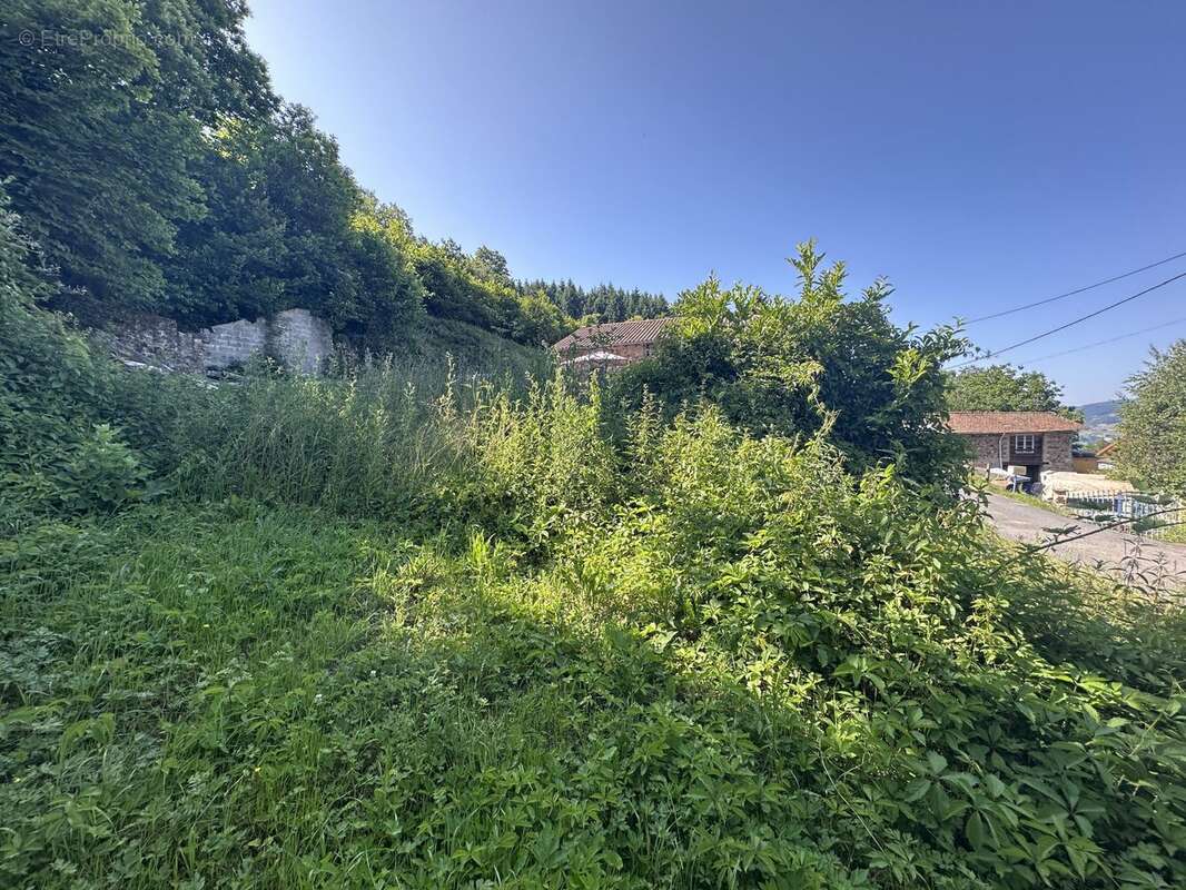 Terrain à SAINT-DIDIER-SUR-BEAUJEU