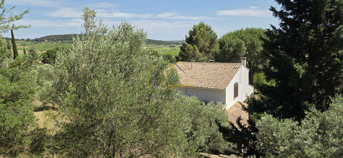 Maison à NEFFIES
