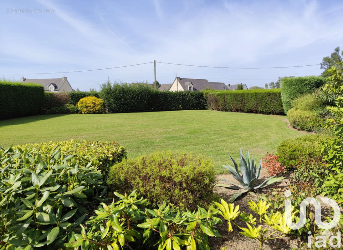 Photo 4 - Terrain à SAINT-VINCENT-SUR-OUST