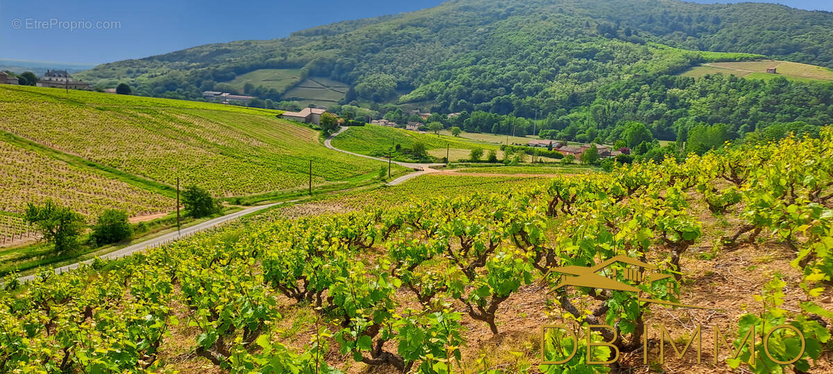 Terrain à JULIENAS