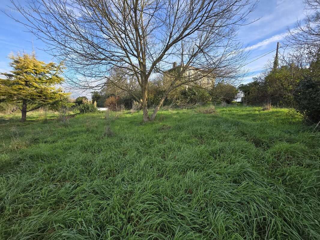Maison à SAINT-MARTIN-LACAUSSADE