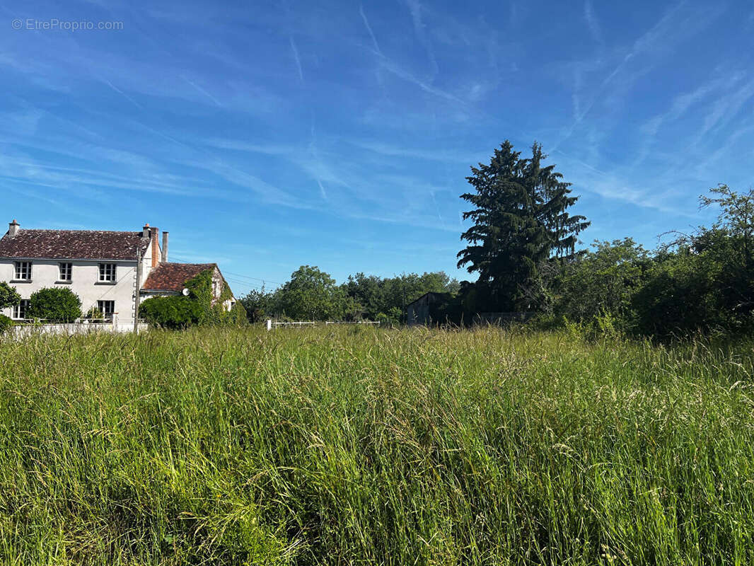 Terrain à SAINT-GEORGES-SUR-CHER