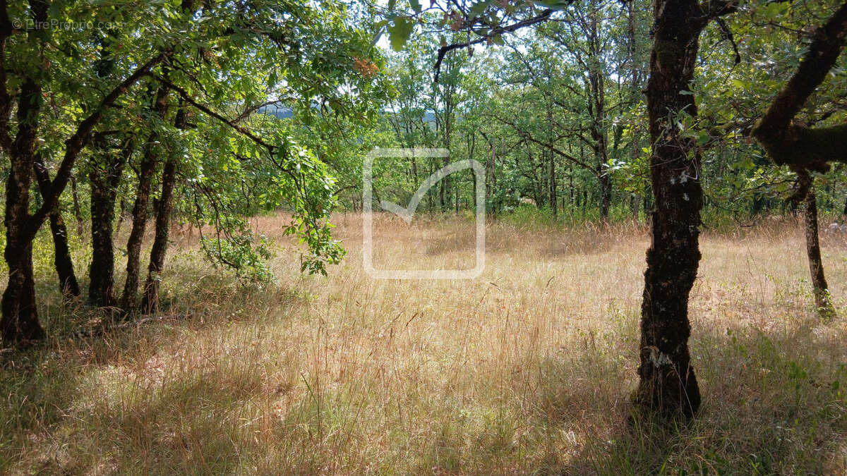 Terrain à CUZANCE