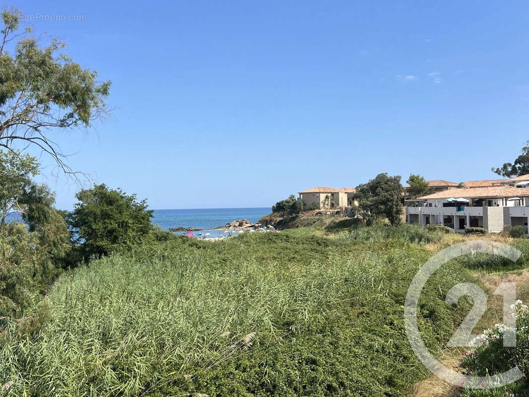 Appartement 31 m² à Linguizzetta  - photo 4