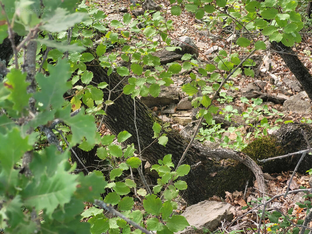 Terrain à BEDARIEUX