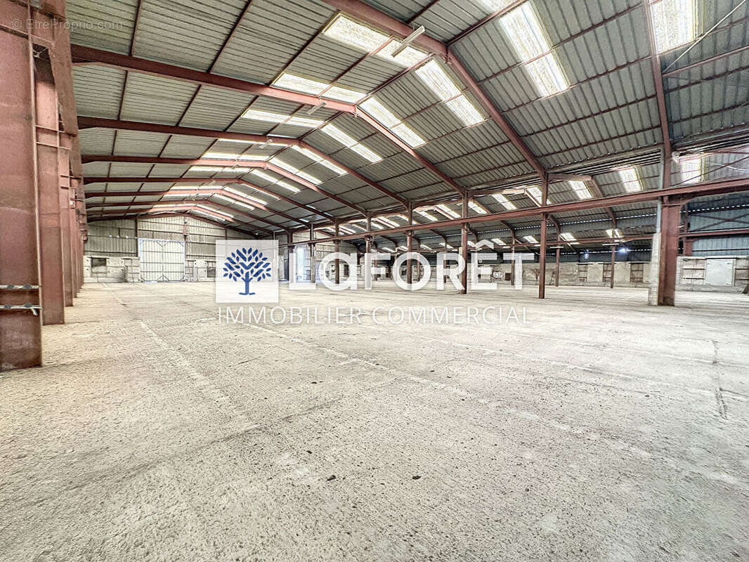 Commerce à SAINT-JACQUES-DE-THOUARS