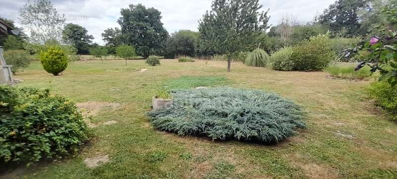 Maison à vendre 4 pièces BUXIERES LES MINES (03) - photo 24
