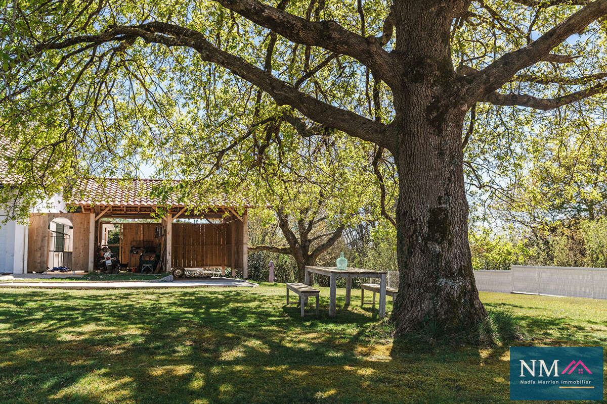 Maison à SAINT-PIERRE-D&#039;IRUBE