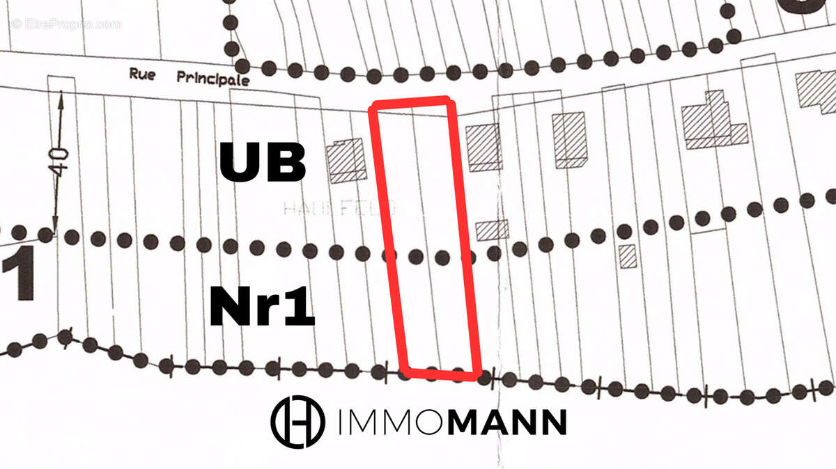 Terrain à OBERDORF-SPACHBACH