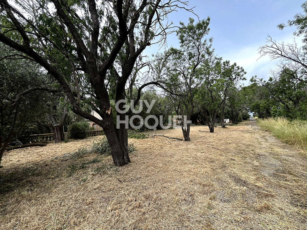Maison à VILLENEUVE-DE-LA-RAHO