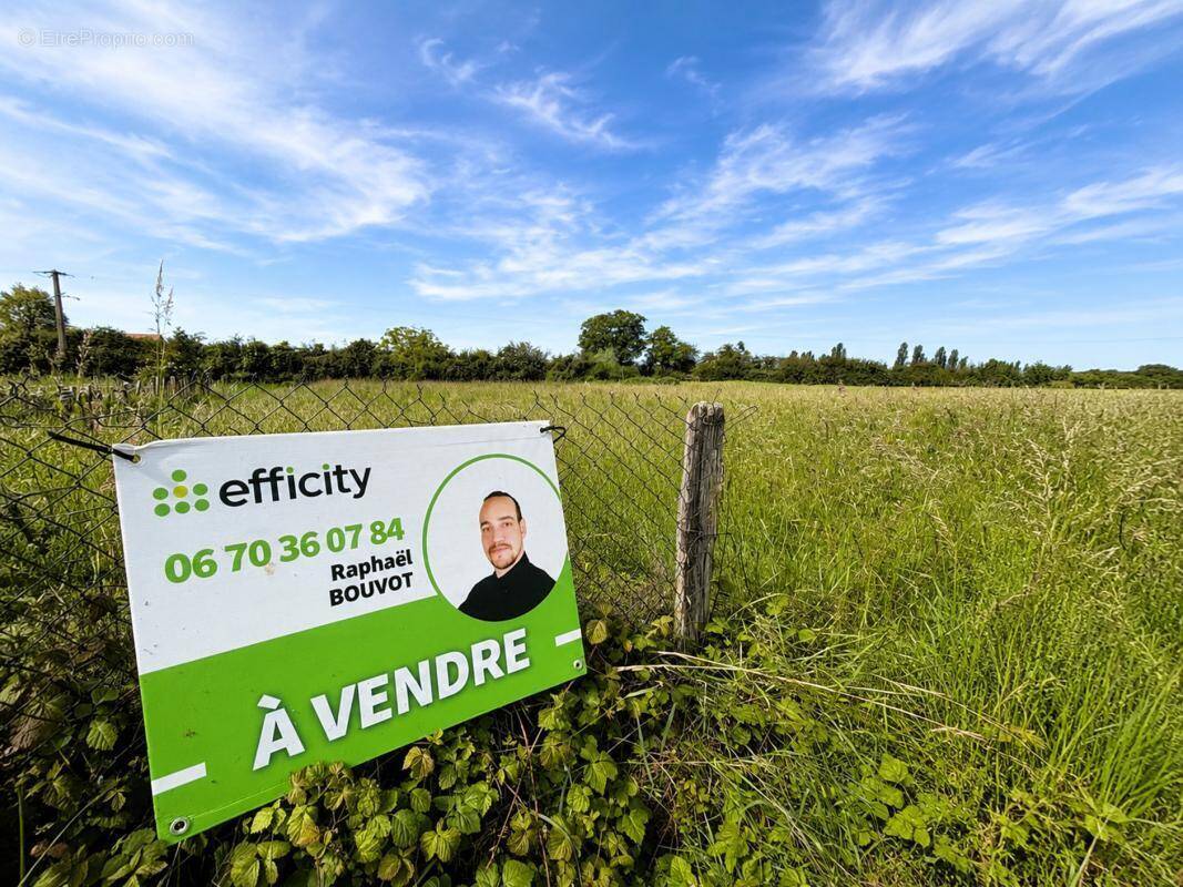 Terrain à CHEMILLY-SUR-YONNE