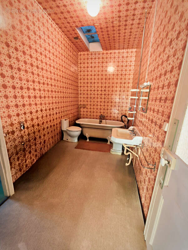 Maison à SAINT-MARTIN-LE-VIEIL