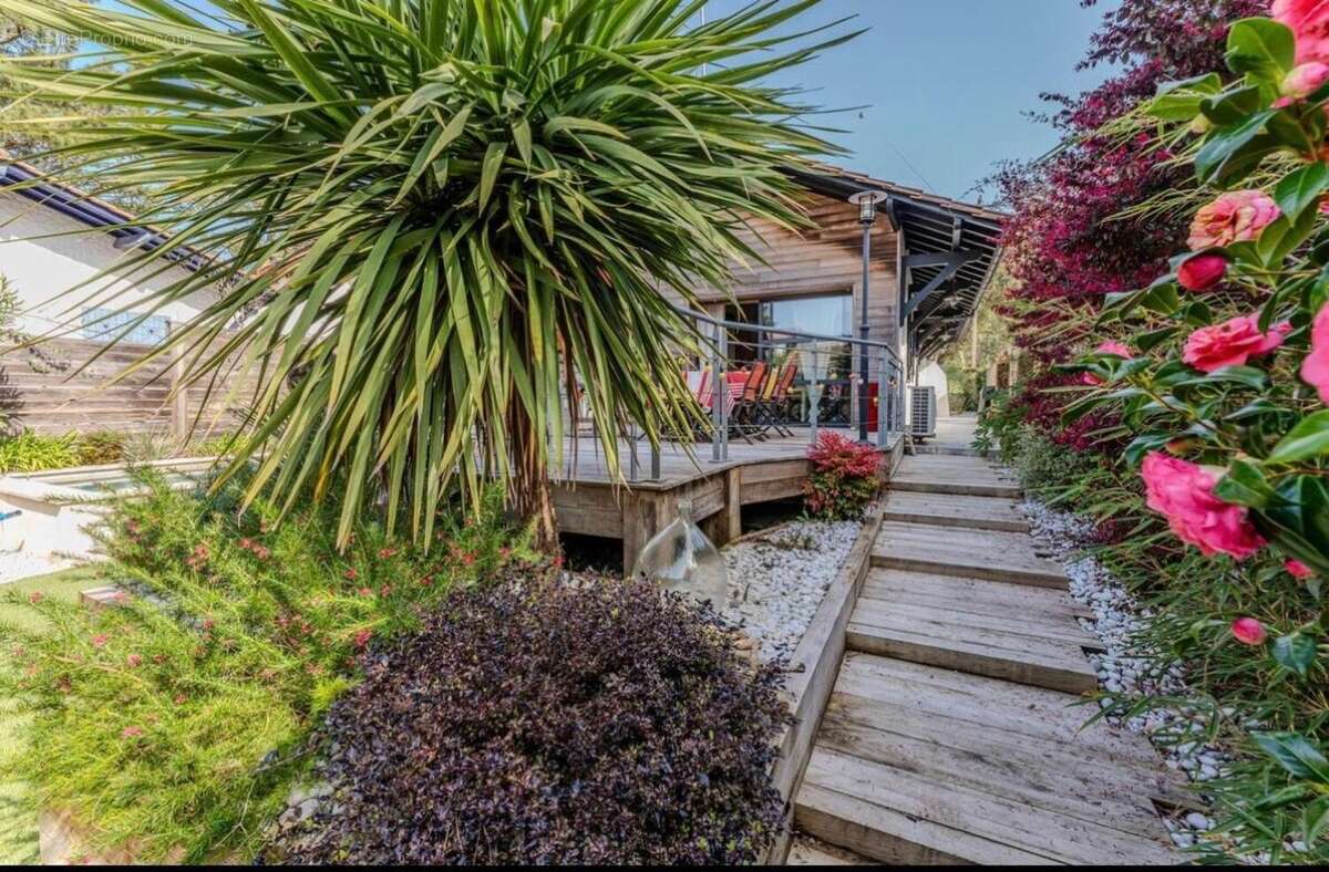 Photo 3 - Maison à LA TESTE-DE-BUCH