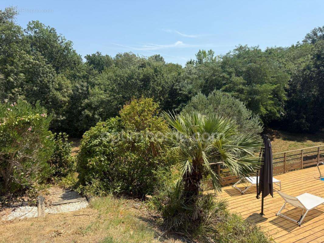 Maison familiale 145 m² – Piscine – 2 200 m² de terrain – 20 min Toulouse - photo 3