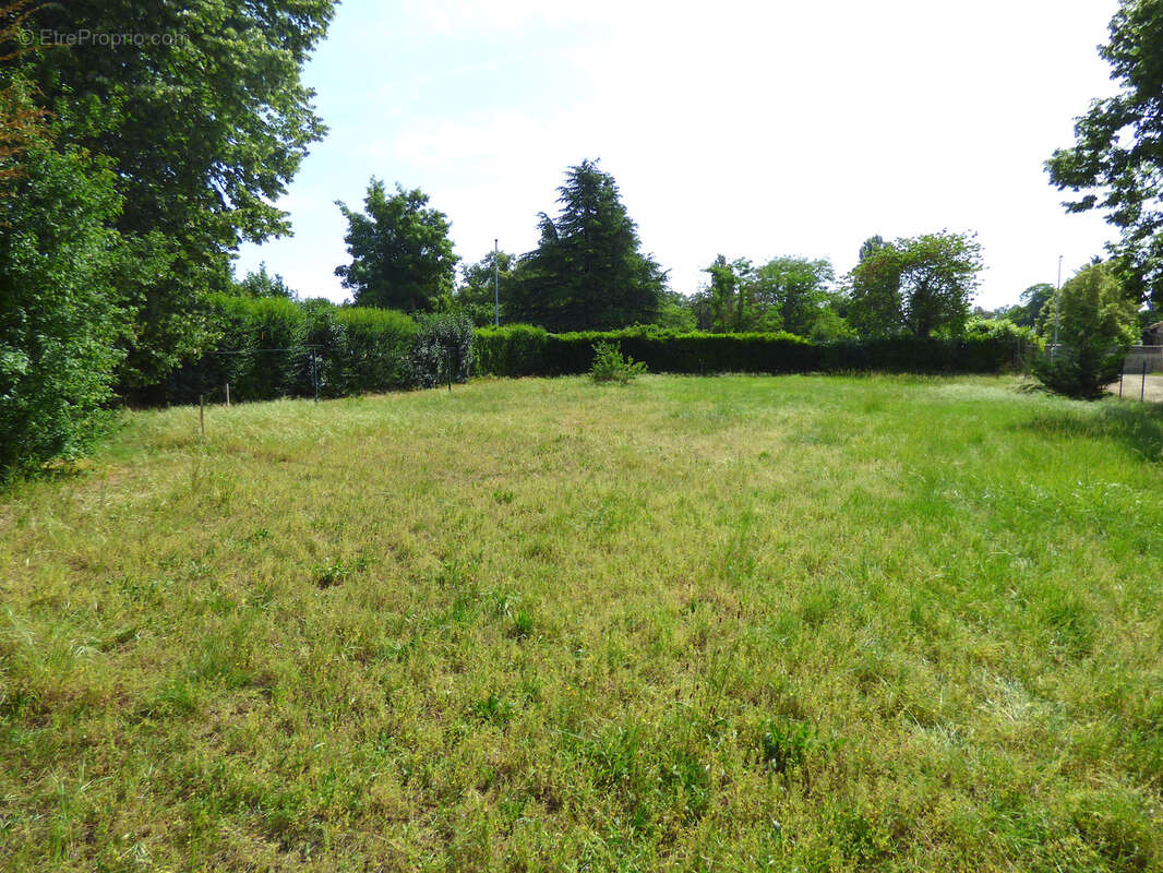 Terrain à JAUNAY-CLAN