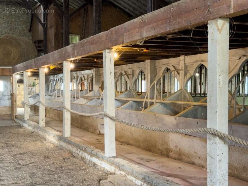 Maison à PENNE-D'AGENAIS