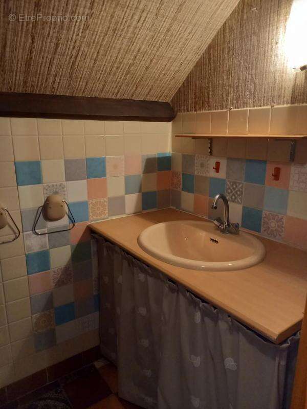 Maison à ROUZIERS-DE-TOURAINE