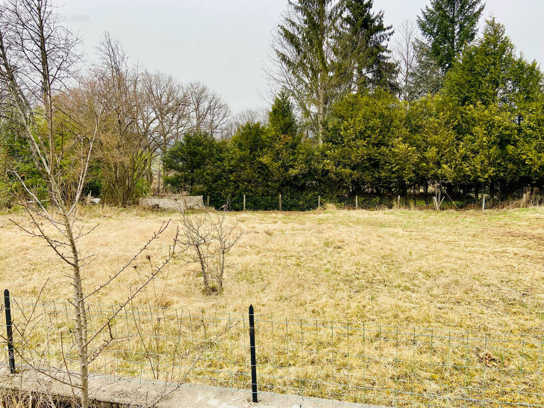 Terrain à CHAMPAGNEY