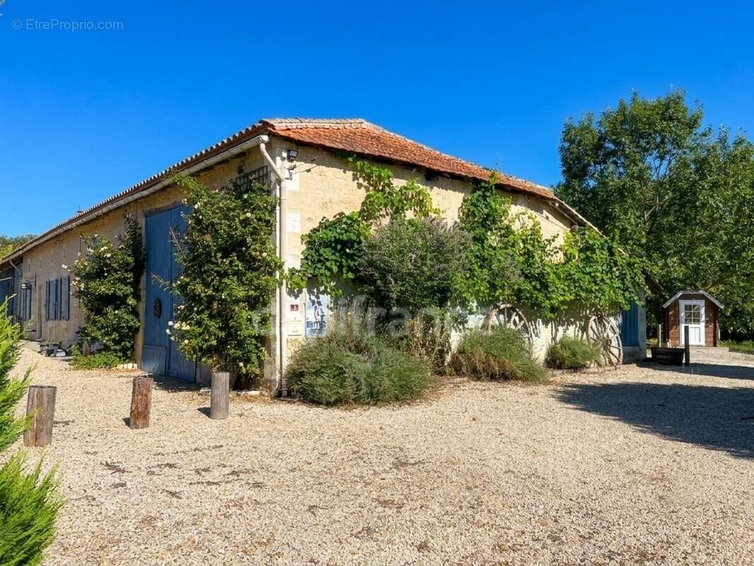 Domaine viticole avec activité touristique de 9,39 hectares - Vanzac (17) - photo 3