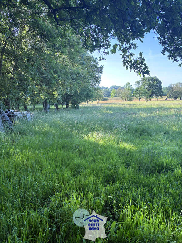 Terrain de loisirs avec plan d'eau - photo 6