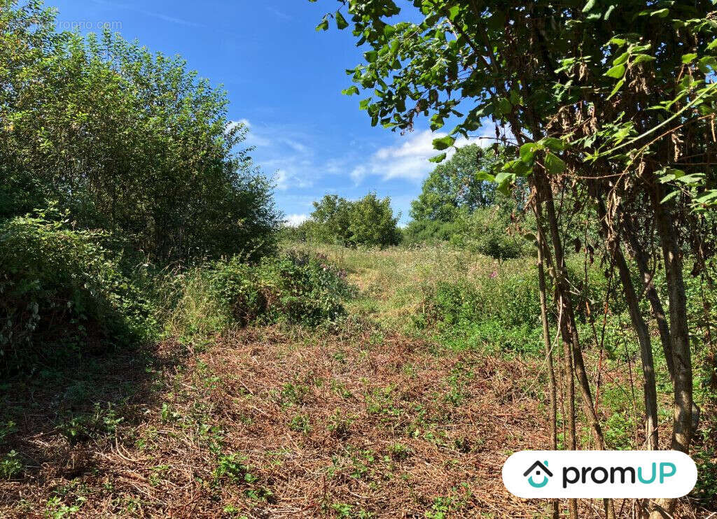 Terrain à LA SOUTERRAINE