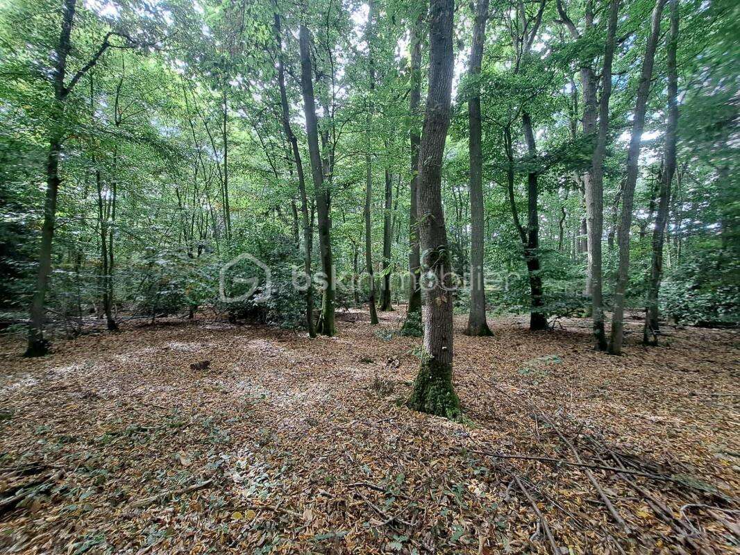 Maison au cœur d'une parcelle boisée – Coup de cœur assuré ! - photo 8