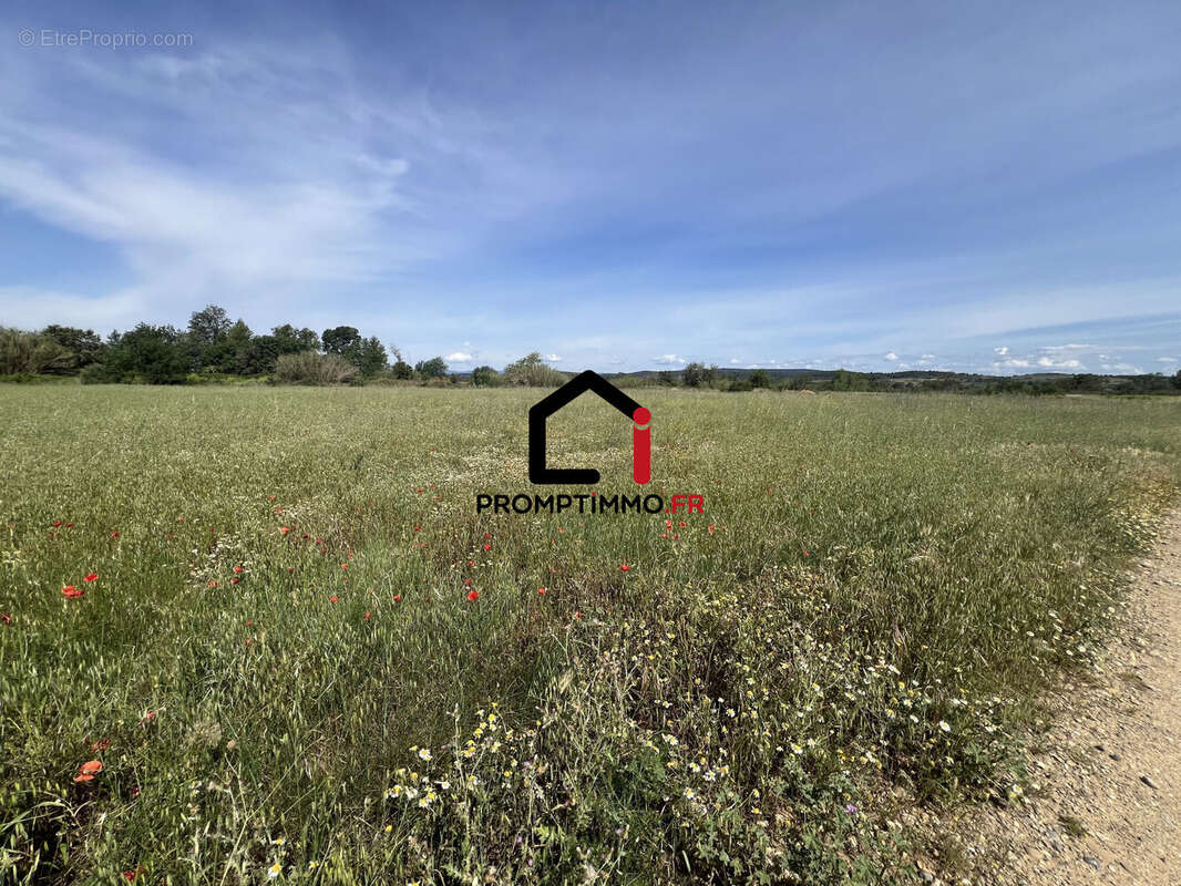 Terrain 6900 m² à Canet  - photo 4