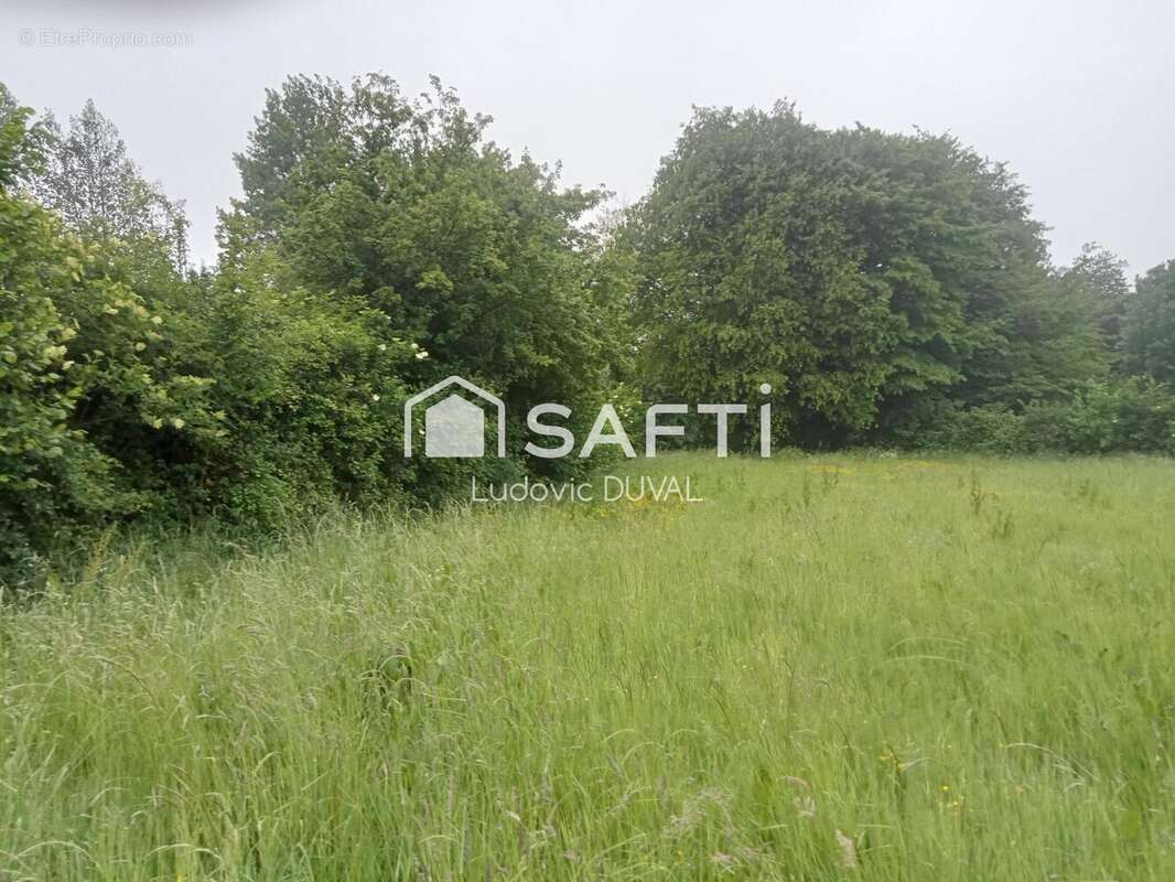 Photo 3 - Terrain à RECLINGHEM