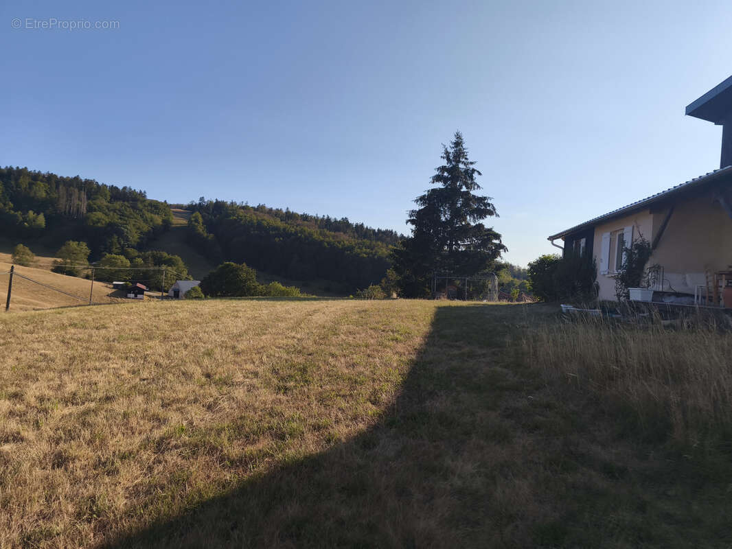 maison de plain pied sur 8700m2 de terrain - photo 3