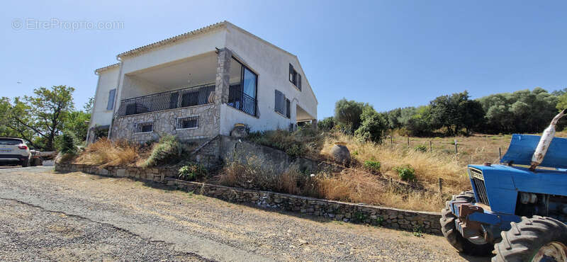 Dpt Corse (20), à vendre CASTA maison de 167m² sur 5600m² avec piscine 6X12 - photo 3