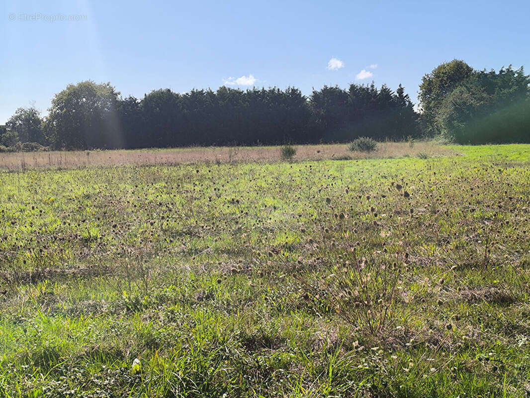 Terrain à COMMEQUIERS