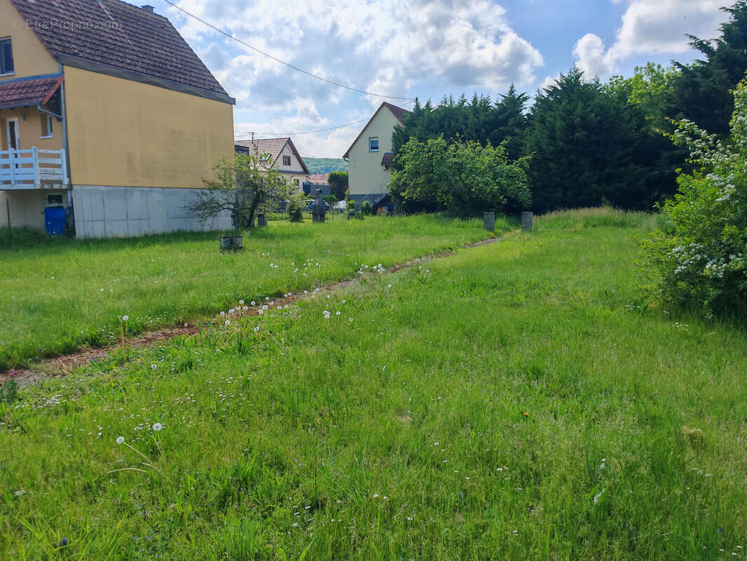 Terrain à GRESSWILLER