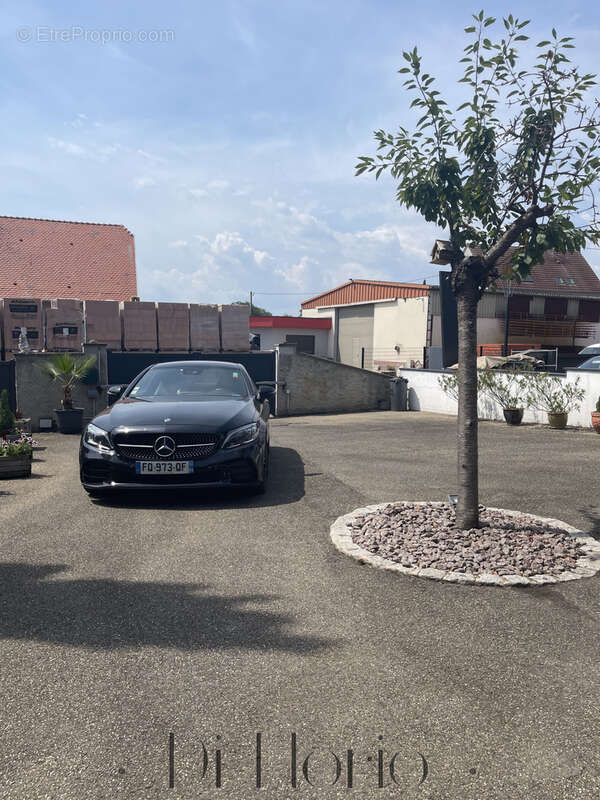 Nordheim - Maison d’architecte aux volumes remarquables 310m2 avec appartement indépendant - photo 33