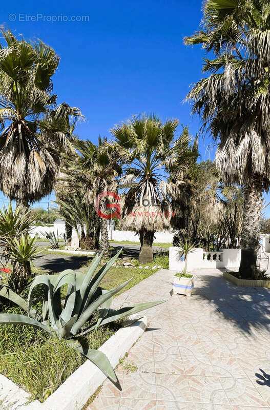 Maison à MARSEILLAN
